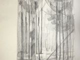pencil drawing of a boat in a wooded area with trees in the background