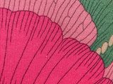 an image of a close up of a pink flower on a green background