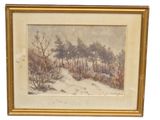 une vieille photo représentant un paysage enneigé avec des arbres et des buissons