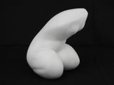 Photo 6/12 du lot