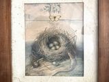 une vieille photo d'un nid d'oiseau contenant deux œufs