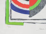 drawing of a red, white, blue, and green circle with a green border