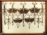 a picture of a display of insects in a wooden frame