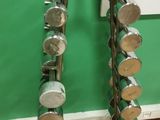 a rack with a bunch of dumb dumbs on it