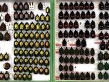 two rows of bottles of beer on display in a case