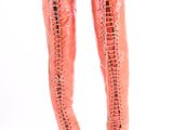 a close up of a pair of pink boots on a white background