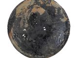an image of a black and brown object on a white surface