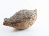 a small bird that is sitting on a white surface