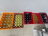 Photo 3/4 du lot