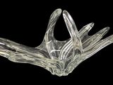 un bol en verre transparent orné d'un motif d'oiseau