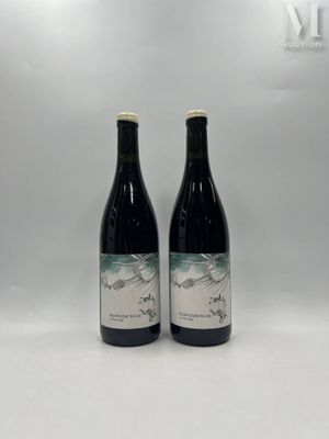BOURGOGNE, "Le vieux Sage", Domaine LES HOREES 2020, 2 boute…