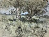 painting of two trees in a field with grass and weeds