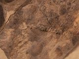 a close up of a piece of wood that has some writing on it