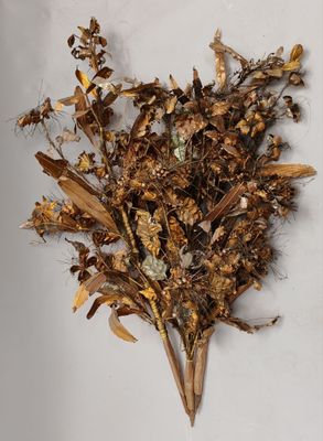 un bouquet de fleurs séchées sur un fond blanc