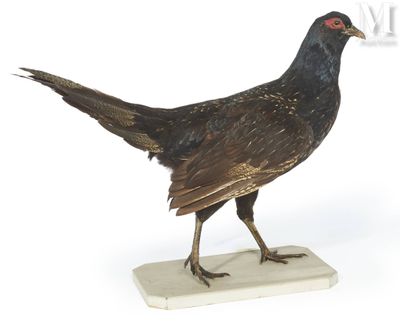 a bird that is standing on a marble base