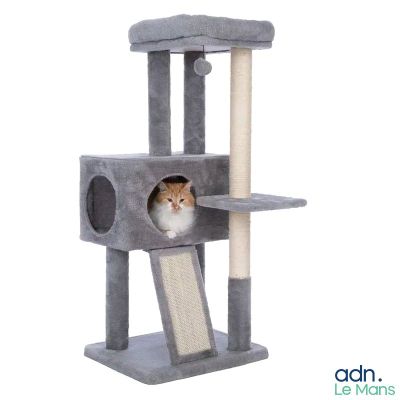 un chat assis sur un arbre à chat