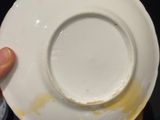a person holding a white plate with a yellow spot on it