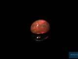 a red fire oplite in the dark with a black background