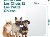 trois chiens et un chat assis les uns à côté des autres