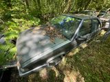 une voiture abandonnée dans les bois, recouverte de feuilles