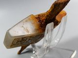 a small piece of rock that is on a clear stand
