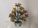 a plant that is sitting on a glass table