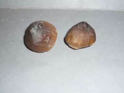 deux tranches de pain posées sur une table