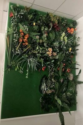 a picture of a green wall with plants on it