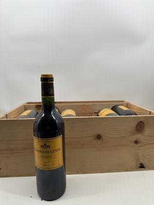 12 bouteilles HORIZON DE LYNCH 2006 Médoc