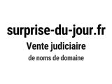 Photo 1/1 du lot
