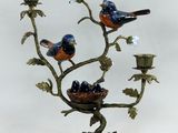 trois oiseaux perchés sur un arbre où se trouve un nid d'oiseau