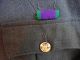 a purple and green ribbon with a gold medal on it