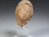 a close up of a small head of a person on a stand