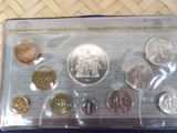a picture of a collection of coins in a plastic bag