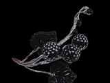 silver and black flower broochle on a black background