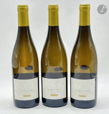 3 B MENETOU-SALON LES BORNES (1 e.a.), Domaine Henri Pellé, 2017 - Photo 1