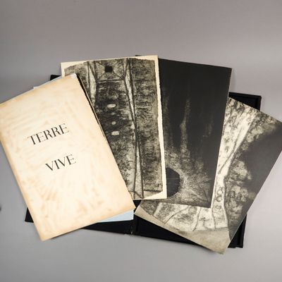 James GUITET (1925-2010). "Terre vive". - Photo 1