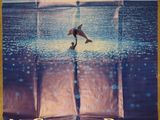 a movie poster for le grand bleu with a dolphin jumping out of the water