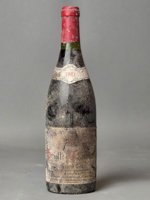B de Griotte Chambertin GC. 1991. - Photo 1