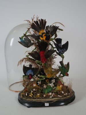 une cloche en verre dans laquelle se trouvent plusieurs oiseaux