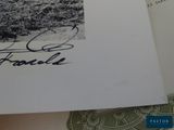 Photo 3/6 du lot