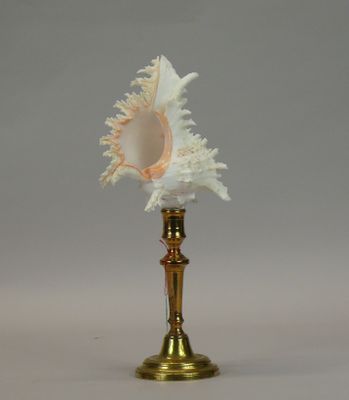a gold vase with a white shell on top of it