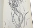 a book with a drawing of a woman on it