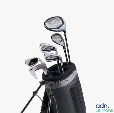 a picture of a set of golf clubs in a bag