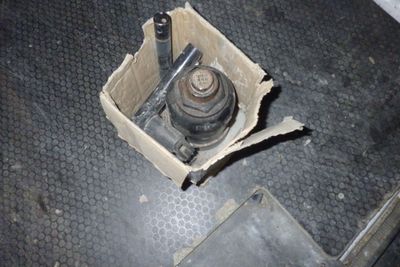 une boîte posée par terre, dans laquelle se trouve un roitelet
