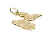 the gold plated charm has a bird on it ' s back
