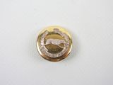 a picture of a pin with a picture of a horse on it