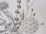 a drawing of a vase with flowers in it