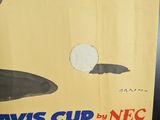 a poster of a cat playing with a soccer ball