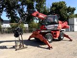 une grue rouge posée dans la terre
